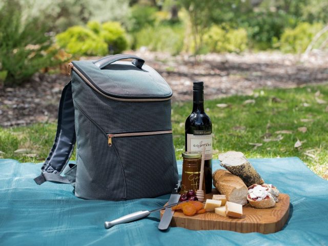 Stylish insulated cooler backpack